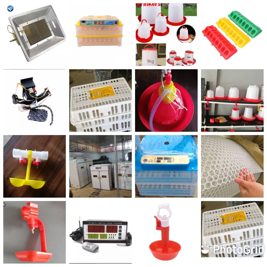 Poultry Accessories